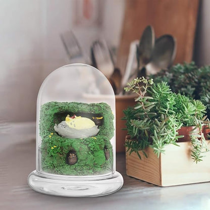 Cabilock Glass Terrarium Bottle 6.10X4.72X4.72In with Clear Dome for Micro Landscape Display and Plant Humidity Control Indoor Garden Decor