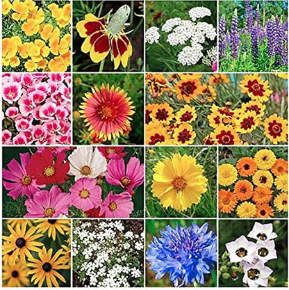 Butterfly and Hummingbird Attracting Wildflower Seeds - .3 Oz - Approximately 5,000 Seeds