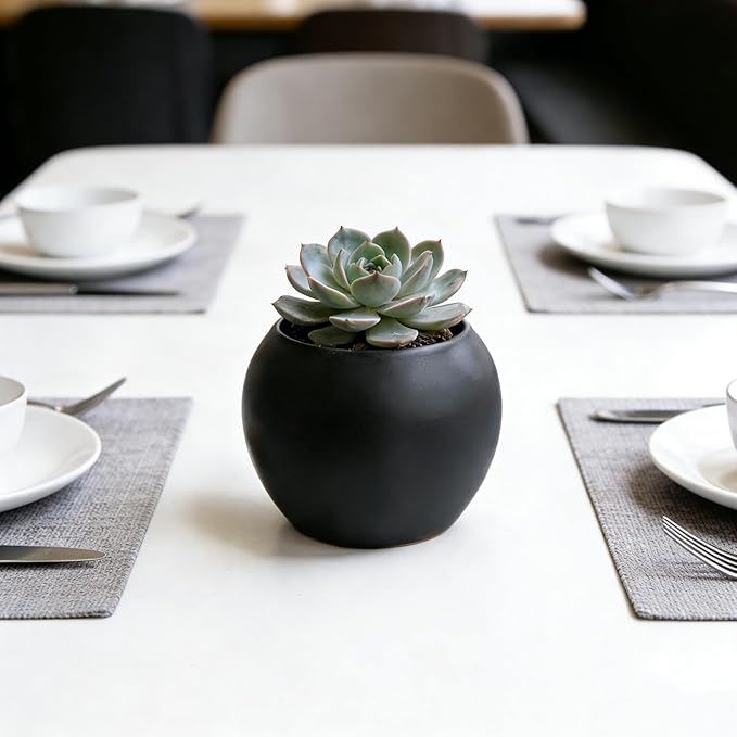 Black Spherical Ceramic Plant Pots Succulent Small Planter Indoor Modern Round Decorative Indoor-Outdoor Garden Plant Pots with Drainage Holes - Plants Not Included 3.94 x 3.94 x 3.15 Inch