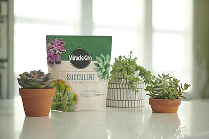Miracle-GRO Succulent Potting Mix, for Indoor Succulents, Aloe Vera and More, Made with Miracle-GRO Plant Food, 4 qt. (3-Pack)