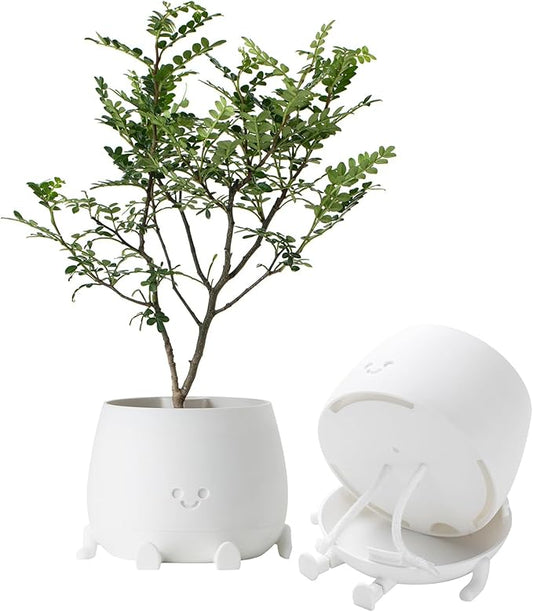 TOPOLA Happy Face Planter, 5.2 Inches Plastic Plant Pot, Self Watering Plant Pot with Drainage Holes for Indoor Outdoor, Succulent Pot, Funny Flower Pot, White
