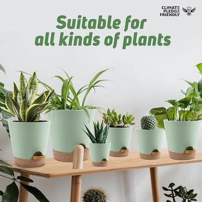 Indoor Self Watering Planters with Drainage Holes and Saucers, 8, 7, 6.5, 6, 5.5, 5 Inches, Green, 6 Pots.