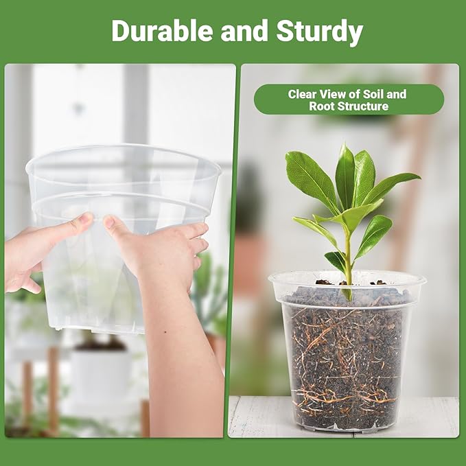 GREANER 10 Inch Nursery Pots, Clear Reinforced Plant Nursery Pots, High Transparency Flower Plant Container with 20 Plant Labels for Flowers, Seeds, Succulents, Vegetables(10PCS)
