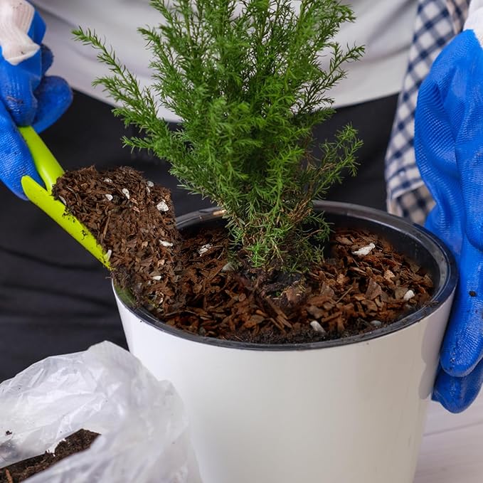 Bonsai Soil Mix Ready to Use (4qt), Premium Fast Draining Organic All Purpose Potting Mix for All Varieties of Bonsai