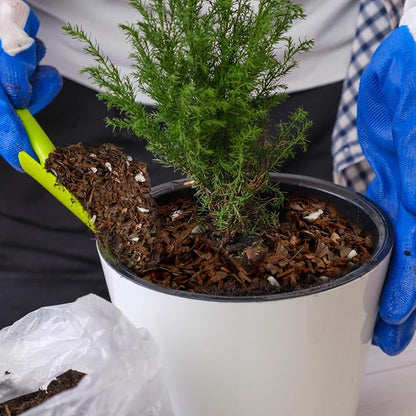 Bonsai Soil Mix Ready to Use (4qt), Premium Fast Draining Organic All Purpose Potting Mix for All Varieties of Bonsai