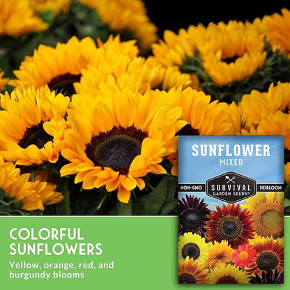 Mixed Sunflower Seeds for Planting | Colorful Blend of Heirloom Varieties for Cut Flowers & Pollinators – Heirloom Non-GMO – Survival Garden Seeds (5 Packs)