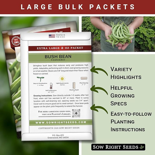 Sow Right Seeds - Bulk Contender Bush Green Bean Seeds for Planting - 2 Ounce, 110 Seeds - Non-GMO Heirloom Jumbo Packet with Instructions to Plant Outdoor Home Vegetable Garden - Grow Large Harvest