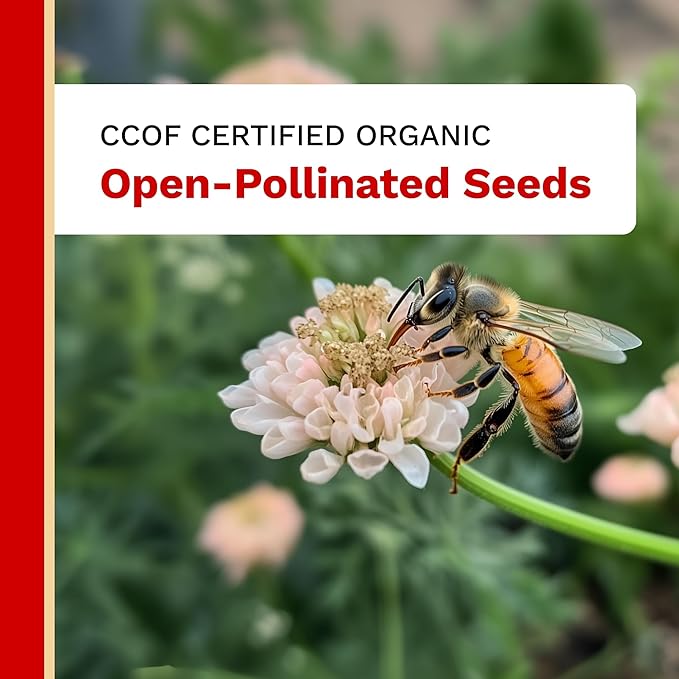 The Harvest Company Organic Pizza Garden Seed Collection – USDA & CCOF Certified Organic, Non-GMO, Open-Pollinated Seeds for Indoor & Outdoor Gardening, 195 Seeds Total