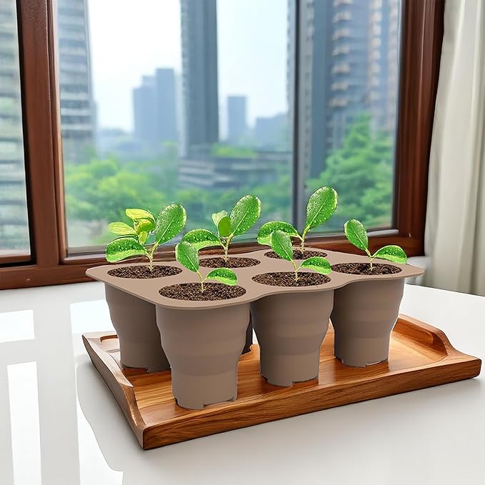 Seed Starter Trays, 2 Pack 6 Cells Seed Starter Kit, Silicone Plant Germination Trays Gardening Starter Kit, Reusable Seed Starter Tray for Plant Germination, Seeds Growing