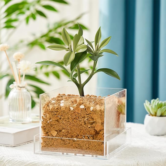 Clear Plant Nursery Pots Acrylic Orchid Pots with Drainage Holes and Tray Transparent Planter for Indoor Plants, Succulents, Herb, Flowers and Cactus Decorative(8 Inches,Square)