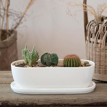 E-liu Ceramic Plant Pots, 11+14 inch, Set of 2, Planters with Drainage Holes Saucers and Mesh Pads, Indoor Flower Succulent Pot with Hole Mesh Pad, Gifts for Mom, Plants Not Included