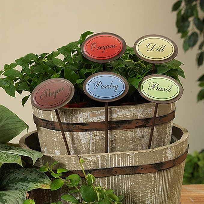 Set of 5 Oval Shaped Colorful Metal Herb Stakes Garden Plant Markers Dill Oregano Thyme Basil and Parsley