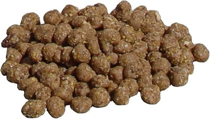 C&S Wild Bird Peanut Suet Nuggets Mega Box, 8 Pounds (Pack of 2)