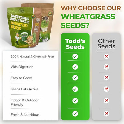 Todd's Seeds Wheatgrass Seeds; Hard Red Winter Wheat, Non-GMO, Chemical Free, High Germination (2 1/2 Pounds)
