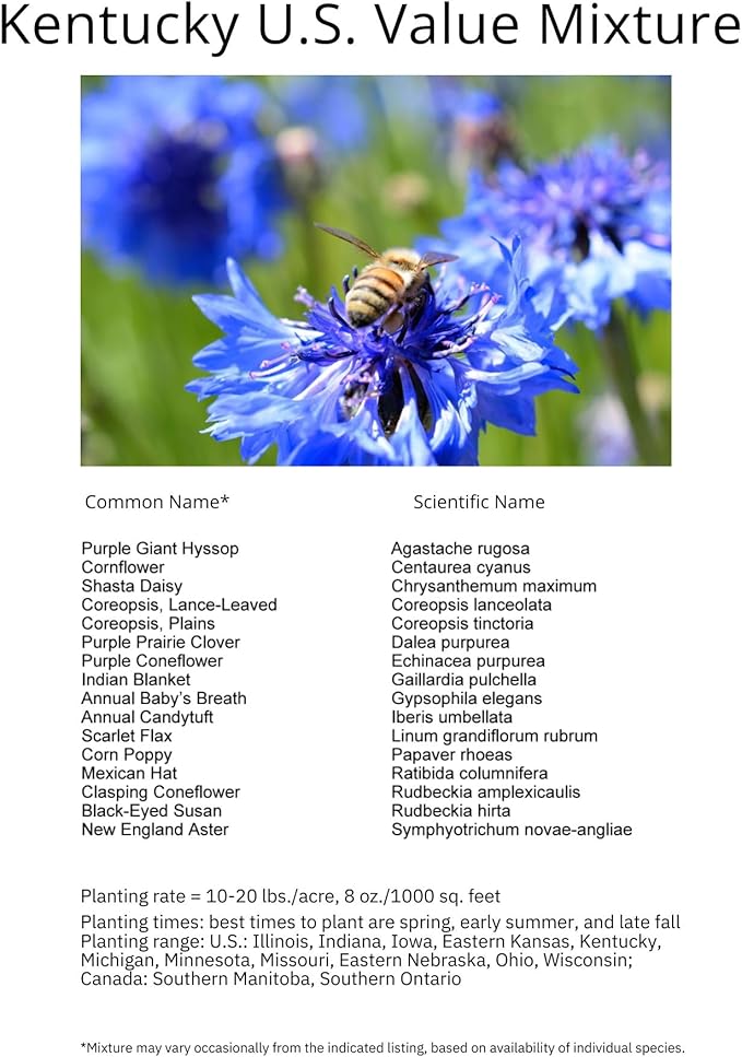 Kentucky Bulk Perennial Wildflower Seed Mix 1lb Covers 2,000sq-ft - Attract Pollinators, Multi-Color Blooms - Midwest US Species Plant in Spring/Fall - Earth-Friendly Packaging (1/2 Pound)