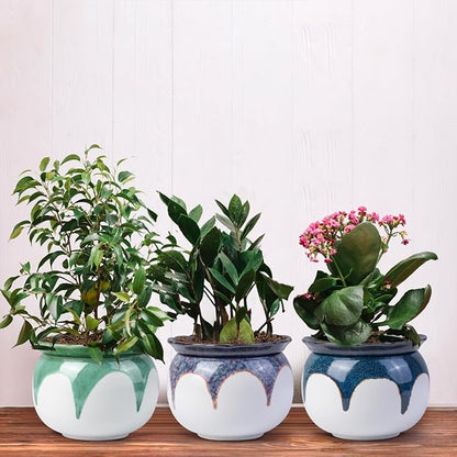 African Violet Pots, 6 Inch Self Watering Pots for Indoor Plants, Easy Plant Self Watering Planter, Ceramic Plant Pot with Absorbent Inner Pot for Flowers - Gradient Green (No Plants)
