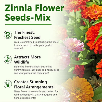 Zinnia Seeds, California Giants Mix, 2,0000+ Bulk Garden Flower Seeds for Planting Outdoors, Mixed Colors and Large Blooms, Attracts Pollinators, Easy to Grow