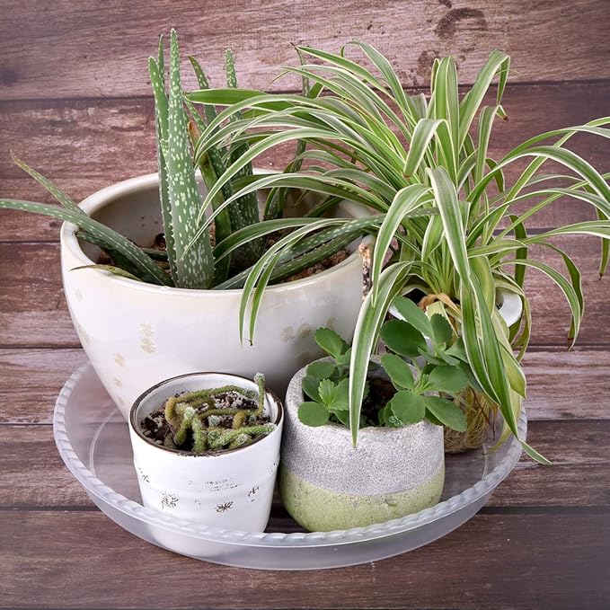 Clear Plant Saucers 14 Inches for Indoors and Outdoors, 6 Packs Heavy Duty Plastic Plant Trays with 12.5 Inches Bottom Diameter, 5 Gallon Grow Bag Saucer.
