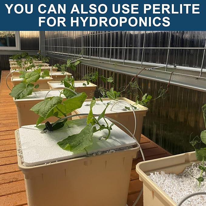 Horticultural Perlite Plants 2qt, Chunky Perlite Bulk for Gardening, Soil Amendments to Improve Soil Aeration & Dranage for Houseplant