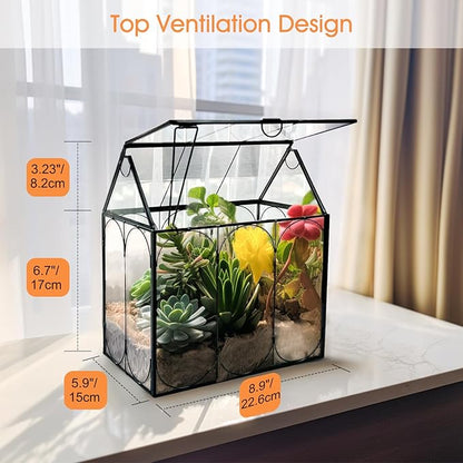 Plant Terrarium Kit, Rifny Large Glass Terrarium Jar with Absorbent Mat for Venus Fly Trap Succulent Live Air Plants Indoor Home Office Decor (Black, 8.9 x 5.9 x 9.9 inch, Without Plant Light)