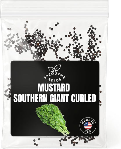 Mustard Southern Giant Curled Greens Seeds for Planting – 500+ Non-GMO Heirloom Leafy Greens for Spring & Fall Growing, Spicy Flavor, High Germination (Brassica juncea)