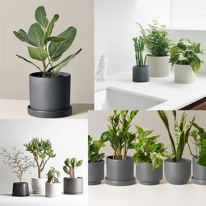 4 Pack Ceramic Plant Saucer Pot Tray 4 Inch, Planter Saucers 4 5 6 7 8 9 10 11 12 13 Inch for Indoors Outdoor, Durable Sturdy Flower Drainage drip Water Tray for Glazed Pots Base ((4.5"/4.1"-Grey)