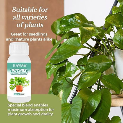 Pothos Fertilizer - Liquid Fertilizer for Indoor House Plants - Essential Plant Nutrients for Neon Pothos or Devil’s Ivy, Multi-Purpose Blend & Gardening Supplies,10 oz Bottle(300mL)