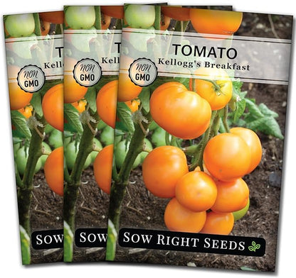 Sow Right Seeds - Kellogg’s Breakfast Tomato Seeds for Planting - Non-GMO Heirloom Packet with Instructions to Plant a Home Vegetable Garden - Beefsteak Slicer with Orange-Yellow Skin - Mild Taste (3)