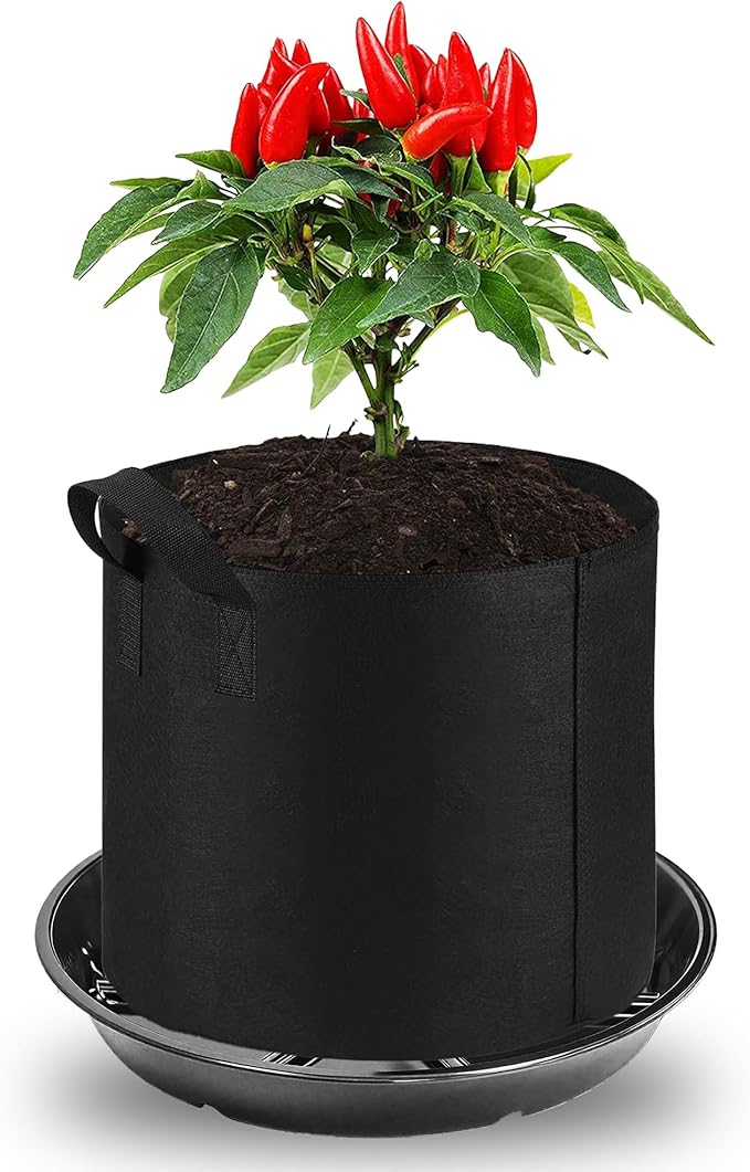 6 Pack of 6 Inches Plant Saucers for Indoor, Durable Plant Saucer Pot Tray, Round Plastic Flower Plant Dish Pant Plate to Catch Water, Black