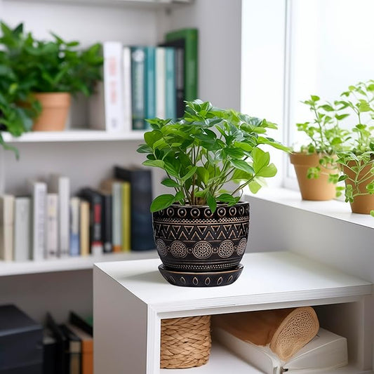G EPGardening 5.5 Inch Ceramic Planter - Ceramic Plant Pot for Indoor Outdoor Plants, Boho Round Flower Pot with Drainage Hole and Saucer, Gifts for Plant Lovers, Office Garden Home Decor, Black