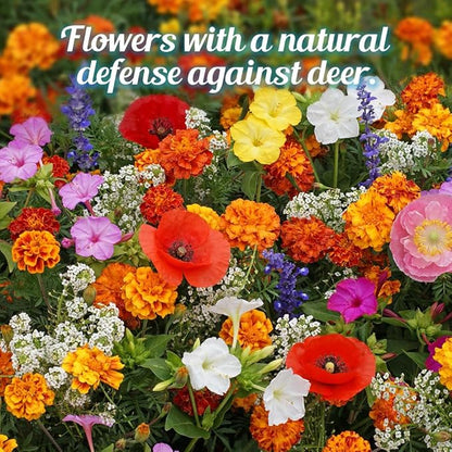 Deer Resistant Wildflower Seeds - 1oz, Open-Pollinated Flower Seed Mix Packet, No Fillers, Annual, Perennial Wildflower Seeds for Planting - 1 oz