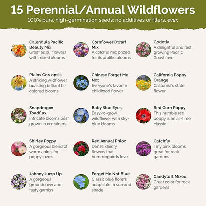 Eden Brothers Shorty Low Grow Wildflower Mixed Seeds for Planting, 1/4 lb, 120,000+ Seeds with Calendula, Cornflower | Attracts Pollinators, Plant in Spring or Fall, Zones 3, 4, 5, 6, 7, 8, 9, 10