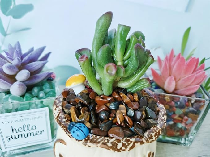 ZHIYUXI Tigers Eye Crystal Vase Filler Crystal Chips Stone for Decoration Succulent Plants Vase Fish Tank Gravel Crushed Crystals Chips Gemstone Polished Healing Crystals Quartz Home Decor Gem Stones