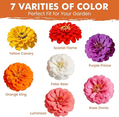 Zinnia Seeds for 2026 Planting, 5000+ Flowers Seeds, 7 Vibrant Colors Mix & Large Bloom, Non-GMO Heirloom Wildflower Seeds for Pollinator Garden Outdoor Borders, Easy to Grow Annual Flowers
