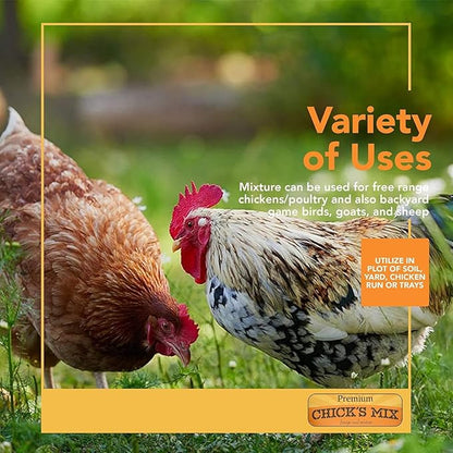 Barenbrug Premium Free Range Chicks Mix Forage Seed Mixture, 1 lb, Pack of 2