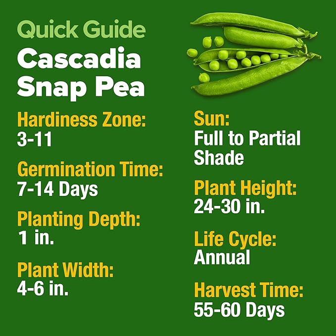 HOME GROWN Vegetable Seeds Non-GMO (Snap Pea, 1-Pack)
