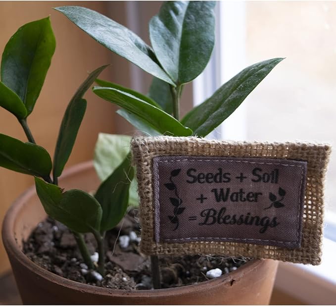 Abbey & CA Gift Seeds Soil Water Flag Flower Pick