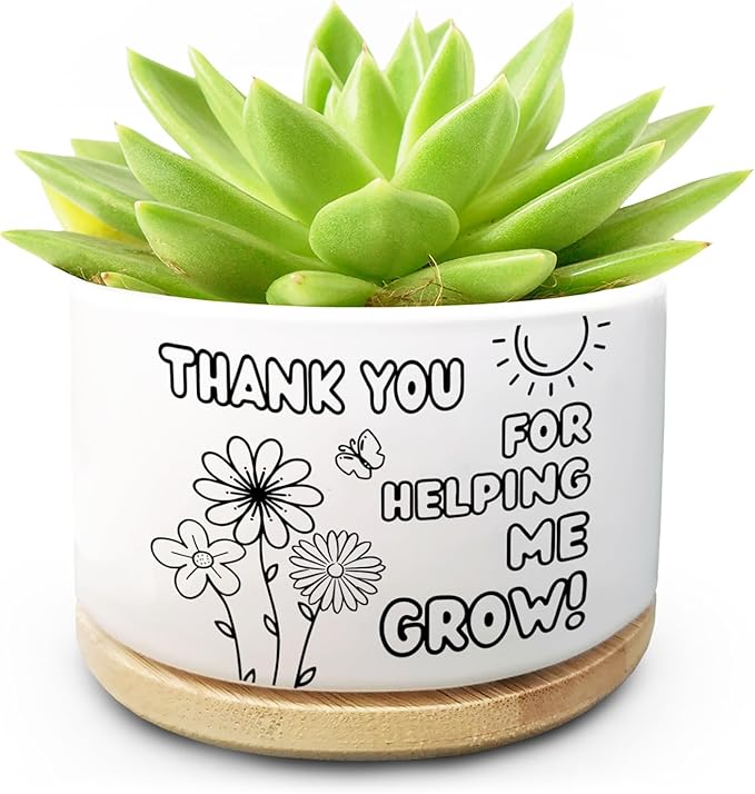 Thank You for Helping Me Grow Appreciation Gifts, Ceramic Succulent Plant Pot for Home Office Desk Decor Thank You Gift for Teacher Mom Father Boss Motivation Gifts (Plant Not Included)