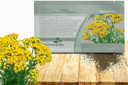 Outsidepride Tansy Seeds - 10000 Pcs. Perennial, Easy to Grow & Low Maintenance, Herb Seeds for Planting Aromatic & Vibrant Yellow Button-Like Blooms, Great for Versatile Uses & Pollinator Gardens