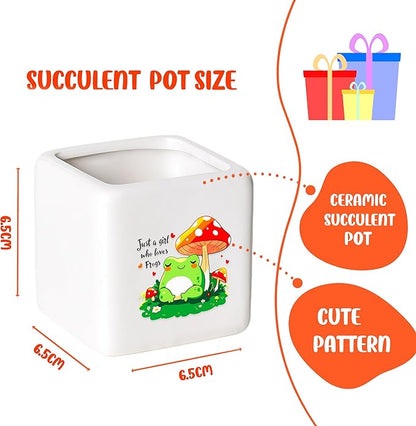 Frog Succulent Planter Flower Plant Pot Small, Gifts for Women Teens Girls Kids, Frog Lovers Themed Stuff Accessories Things Decor Merch, Home Office Table Desk Decoration!
