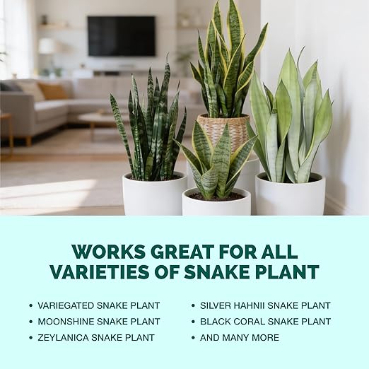 Snake Plant Fertilizer for Snake Plants and All Sansevieria, 8 oz (250mL)