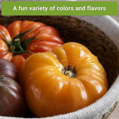 Sow Right Seeds - Beefsteak Style Tomato Seed Collection for Planting - Beefsteak, Kellogg's, Cherokee Purple, Mortgage Lifter & Ponderosa - Non-GMO Heirloom Varieties to Plant a Home Vegetable Garden