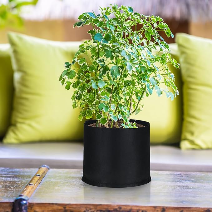 Zubebe 60 Pack Plant Grow Bags Bulk Garden Bags Aeration Grow Pots Heavy Duty Thickened Nonwoven Fabric Plant Pots Black Planting Container for Potato Tomato Vegetable Flower Fruits (3 Gallon)