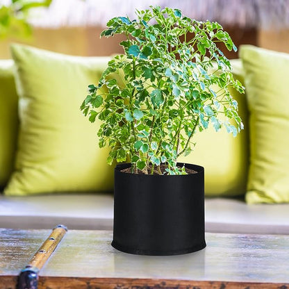 Zubebe 60 Pack Plant Grow Bags Bulk Garden Bags Aeration Grow Pots Heavy Duty Thickened Nonwoven Fabric Plant Pots Black Planting Container for Potato Tomato Vegetable Flower Fruits (3 Gallon)