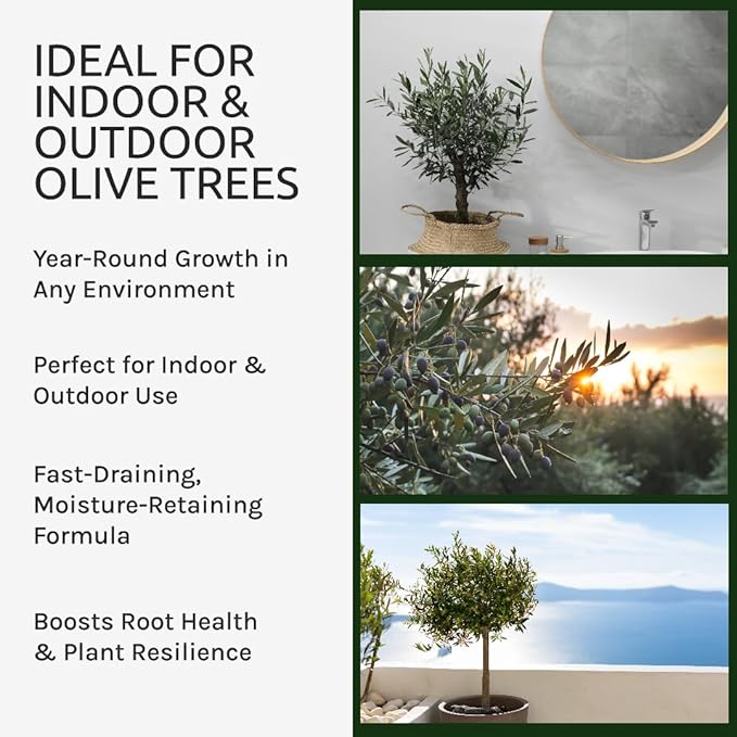 Organic Olive Tree Potting Mix – Fast-Draining, Nutrient-Rich Soil for Indoor & Outdoor Olive Trees – Mediterranean Plant Care – Long-Lasting Formula (3 QUARTS)
