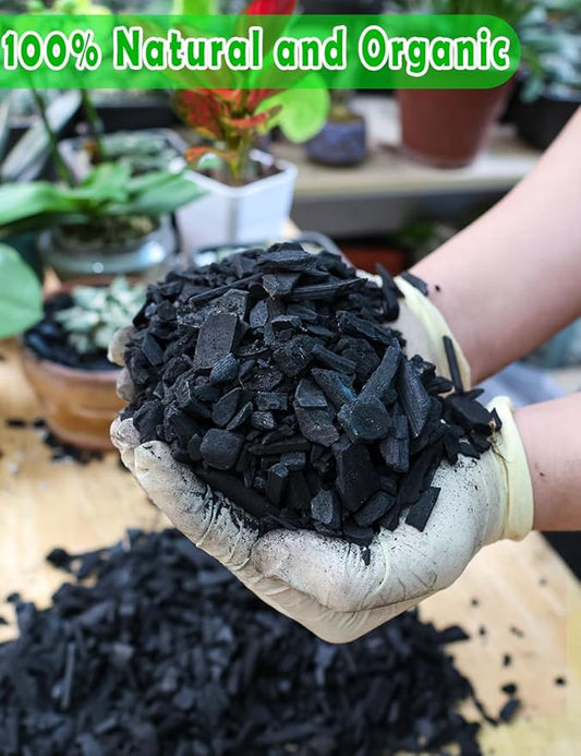 TOYPOPOR Horticultural Charcoal for Indoor Plants (10 Quarts) Hardwood Potting Soil Amendment Helps Improve Drainage for Orchids, Succulent, Cactus, Terrariums, and Gardening