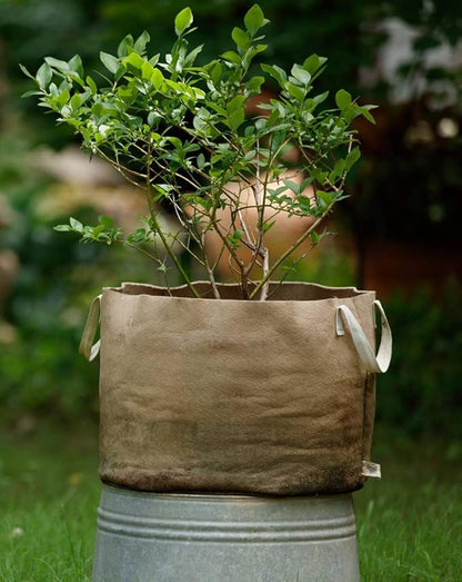 Smart Pots 15-Gallon Smart Pot Soft-Sided Container, Tan with Strap handles