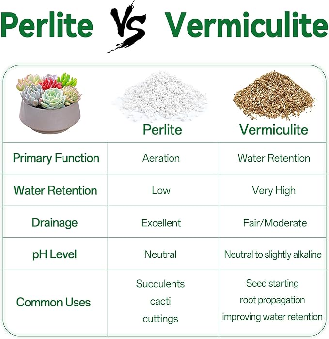 ZeeDix Premium Perlite for Plants, Horticulture Soil Amendment, 3-9mm Granule Size Potted Plant Soil for Orchid Cactus Succulents Carnivorous Monstera Repotting, Indoor Outdoor Gardening, 1QT