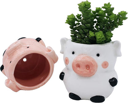 Cute Pig Planter Kitchen Pig Decor 2 Pack Ceramic Succulent Flower Pots with Drainage Hole, Office Décor