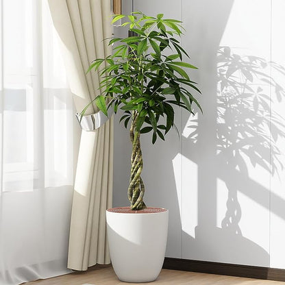 2 Pcs Plant Pot Grid Soil Protector Covers Large and Medium Cuttable Grid Flower Protector with Deep Stakes for Indoor Outdoor Office Hotel Home Furnishing Shopping Mall Garden